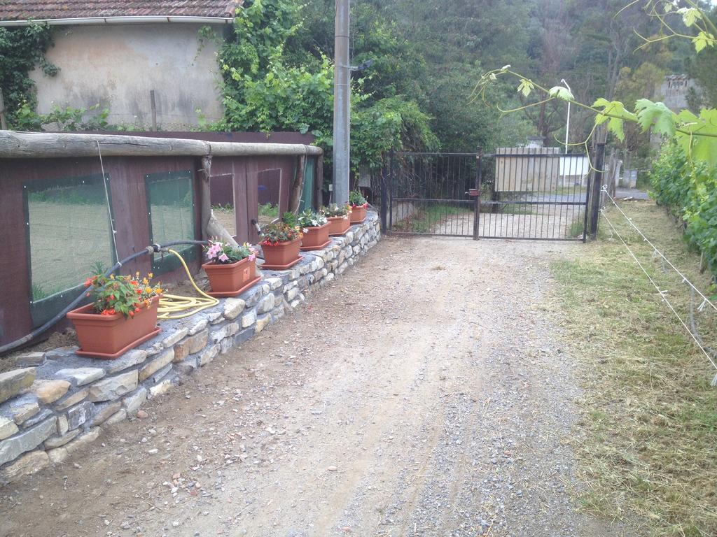 Il Piccolo Ranch Hotel Cervo Kültér fotó
