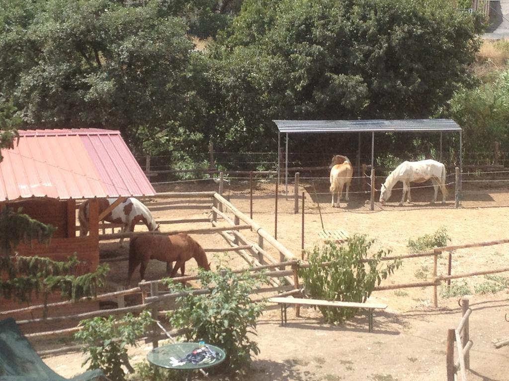 Il Piccolo Ranch Hotel Cervo Kültér fotó