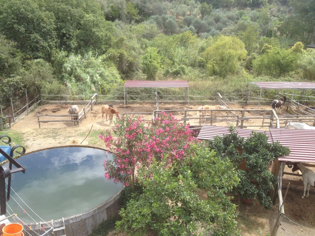 Il Piccolo Ranch Hotel Cervo Kültér fotó
